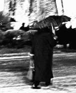 Nome File=nella_pioggia7.jpg
Dimensione File=236KB
Dimensioni=576x700
Data aggiunta=Mar 23, 2008 nella_pioggia7.jpg
