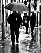 passi_di_pioggia_.jpg