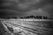 Nome File=pioggia2.jpg
Dimensione File=220KB
Dimensioni=900x600
Data aggiunta=Feb 13, 2008 pioggia2.jpg