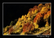 Angolo_D_autunno~0.jpg Angolo_D_autunno~0.jpg