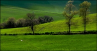 Nome File=Angolo_di_campagna.jpg
Dimensione File=148KB
Dimensioni=800x421
Data aggiunta=Dic 31, 2009 Angolo_di_campagna.jpg
