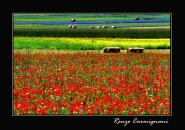 Castelluccio_2007.jpg