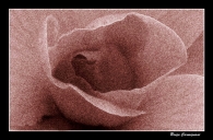 Nome File=Disegno.jpg
Dimensione File=199KB
Dimensioni=800x528
Data aggiunta=Gen 26, 2010 Disegno.jpg