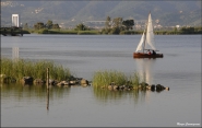 Nome File=Lago_Puccini.jpg
Dimensione File=112KB
Dimensioni=800x510
Data aggiunta=Gen 25, 2011 Lago_Puccini.jpg