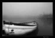 Lago_con_nebbia.jpg
