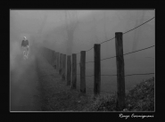 Nebbia~0.jpg