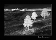 Nome File=Paesaggio_All_infrarosso.jpg
Dimensione File=128KB
Dimensioni=800x572
Data aggiunta=Dic 27, 2007 Paesaggio_All_infrarosso.jpg