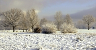 Nome File=Sole_sopra_la_neve.jpg
Dimensione File=161KB
Dimensioni=800x417
Data aggiunta=Dic 21, 2009 Sole_sopra_la_neve.jpg