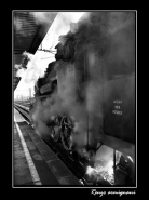 Nome File=Vecchia_Locomotiva.jpg
Dimensione File=103KB
Dimensioni=598x800
Data aggiunta=Dic 10, 2008 Vecchia_Locomotiva.jpg