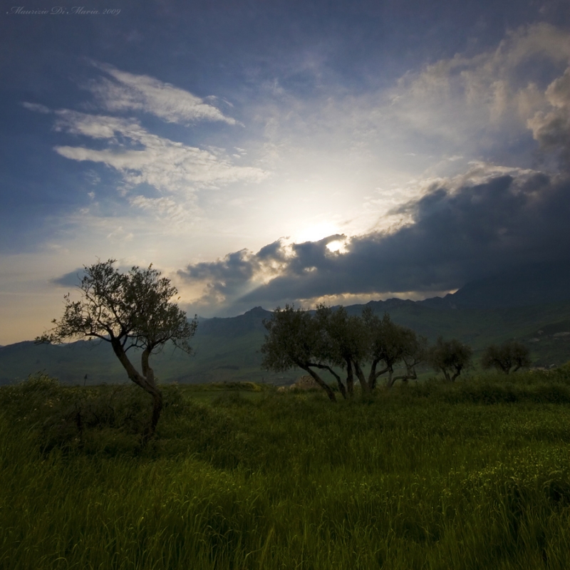 Clicca per l'immagine full size
