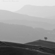 Nome File=Piani.jpg
Dimensione File=361KB
Dimensioni=800x800
Data aggiunta=Giu 24, 2008 Piani.jpg