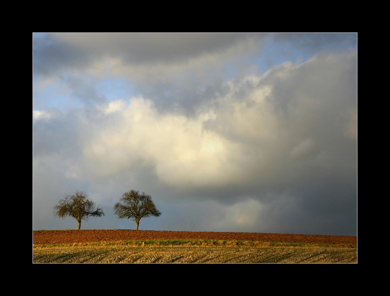 Clicca per l'immagine full size