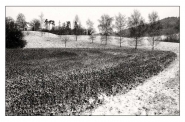 Nome File=l_inverno.jpg
Dimensione File=350KB
Dimensioni=794x527
Data aggiunta=Giu 09, 2008 l_inverno.jpg