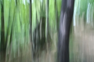 IMG_4405.JPG