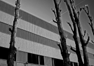 Nome File=Riconversione.jpg
Dimensione File=345KB
Dimensioni=800x566
Data aggiunta=Feb 02, 2008 Riconversione.jpg