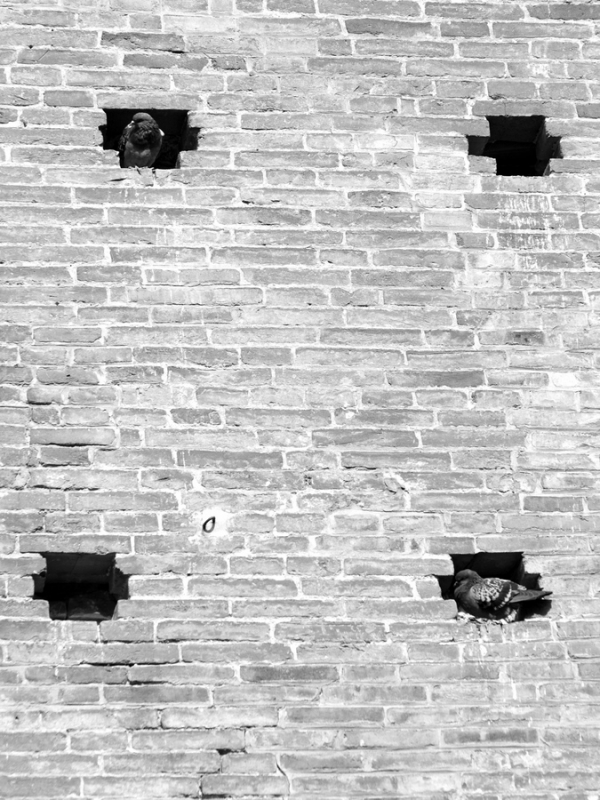 Clicca per l'immagine full size