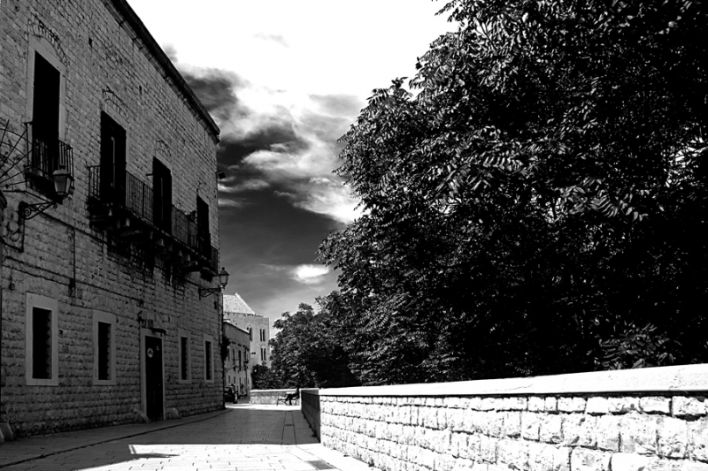 Clicca per l'immagine full size