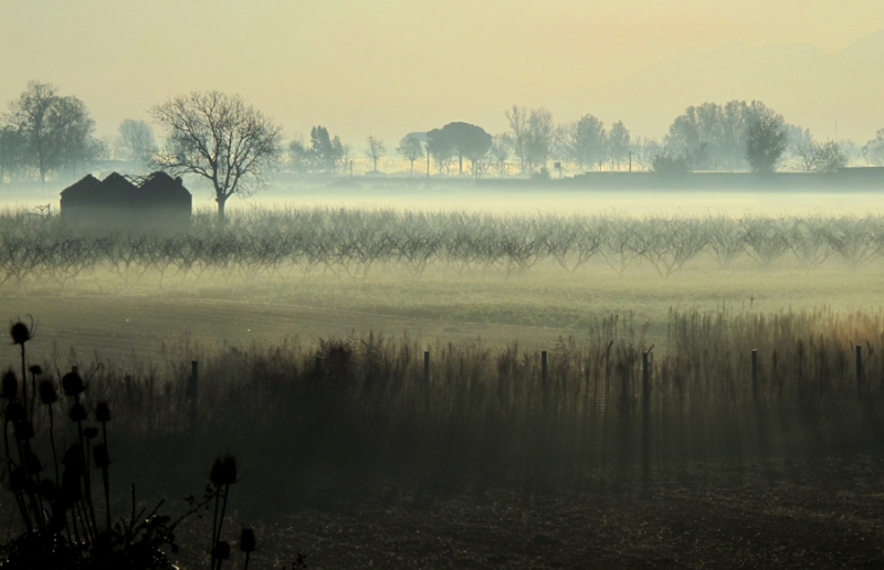 Clicca per l'immagine full size