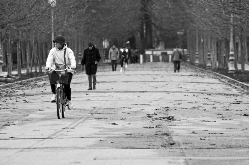 Clicca per l'immagine full size