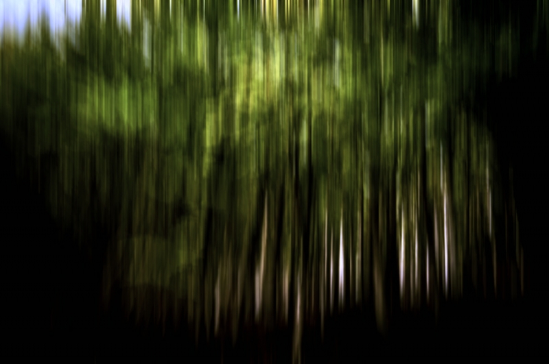Clicca per l'immagine full size