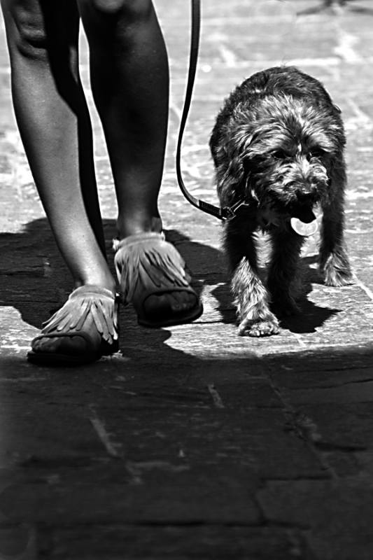 Clicca per l'immagine full size
