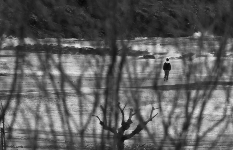 Clicca per l'immagine full size