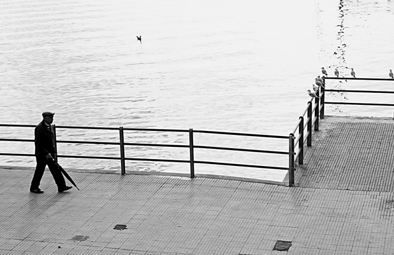 Clicca per l'immagine full size