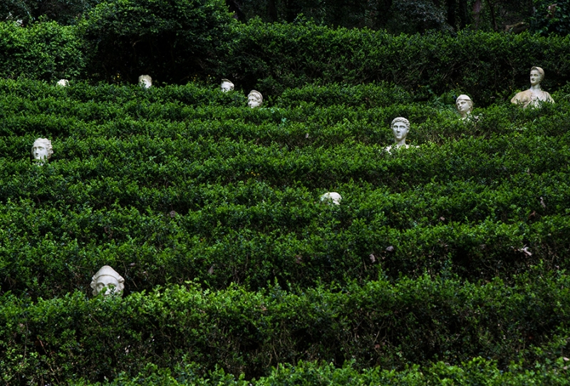 Clicca per l'immagine full size