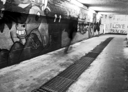 IMG_0555bn3.jpg