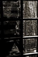 Pres_6174se.jpg