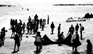 Primi_segnali0131bn.jpg