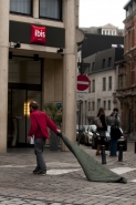 ibis8408.jpg