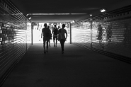 mmDSC4599.jpg mmDSC4599.jpg
