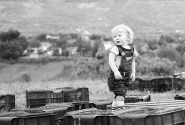 mmDSC_1787bn.jpg