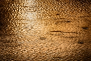 mmDSC_7723.jpg