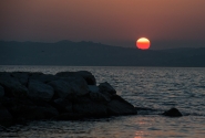 mmDSC_8354a.jpg