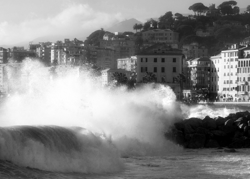 Clicca per l'immagine full size