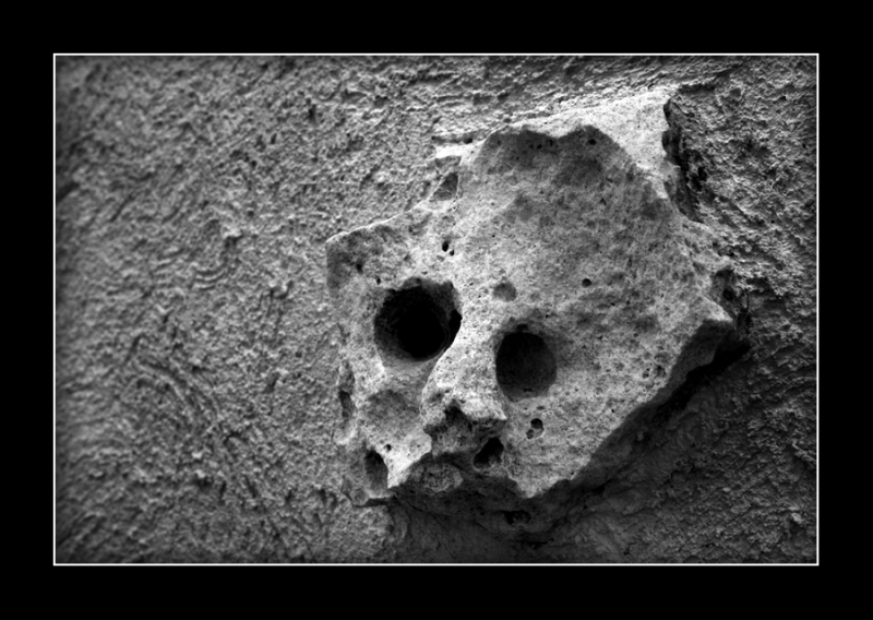 Clicca per l'immagine full size