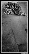 Nome File=ele.jpg
Dimensione File=176KB
Dimensioni=440x800
Data aggiunta=Feb 13, 2008 ele.jpg