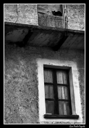 Nome File=gattofinestra.jpg
Dimensione File=328KB
Dimensioni=558x800
Data aggiunta=Feb 27, 2008 gattofinestra.jpg