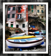 Nome File=gozzo.jpg
Dimensione File=386KB
Dimensioni=940x1024
Data aggiunta=Ago 14, 2008 gozzo.jpg