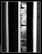 Nome File=lucioperaie.JPG
Dimensione File=260KB
Dimensioni=701x900
Data aggiunta=Feb 07, 2008 lucioperaie.JPG