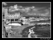 Nome File=peglibn.jpg
Dimensione File=254KB
Dimensioni=800x603
Data aggiunta=Giu 17, 2008 peglibn.jpg