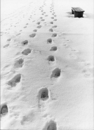 Nome File=60_copy.jpg
Dimensione File=217KB
Dimensioni=501x691
Data aggiunta=Dic 29, 2010 60_copy.jpg