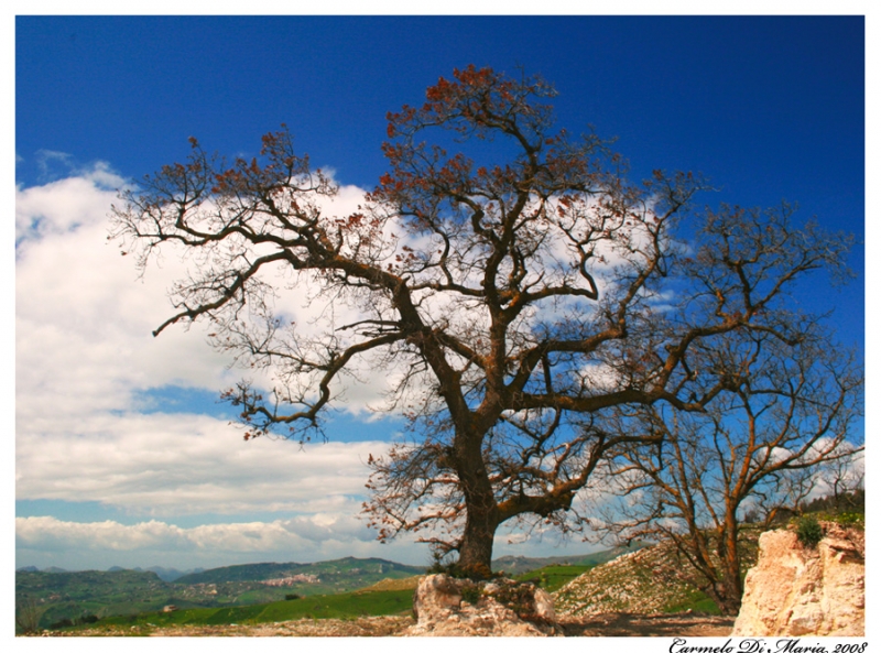 Clicca per l'immagine full size