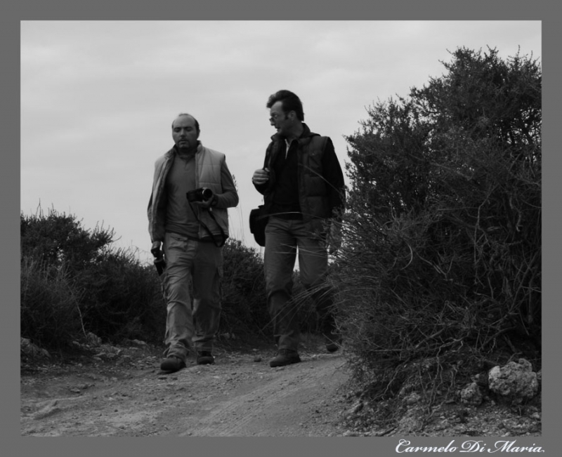 Clicca per l'immagine full size