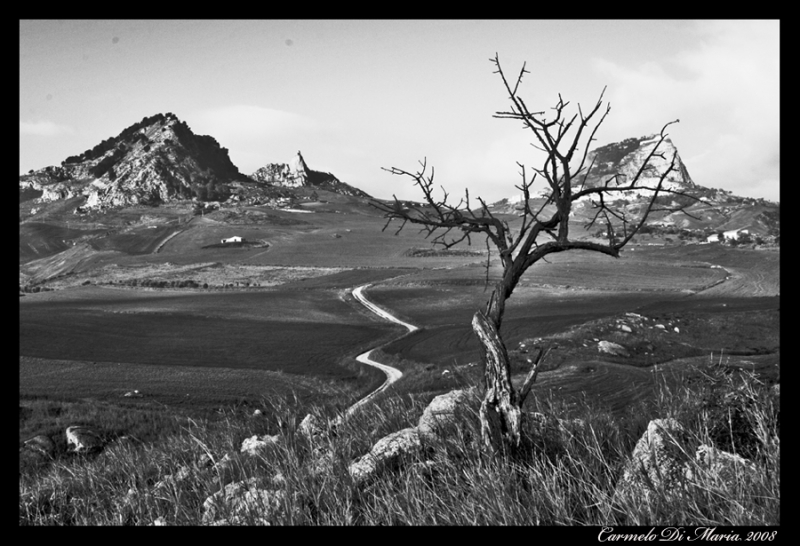 Clicca per l'immagine full size