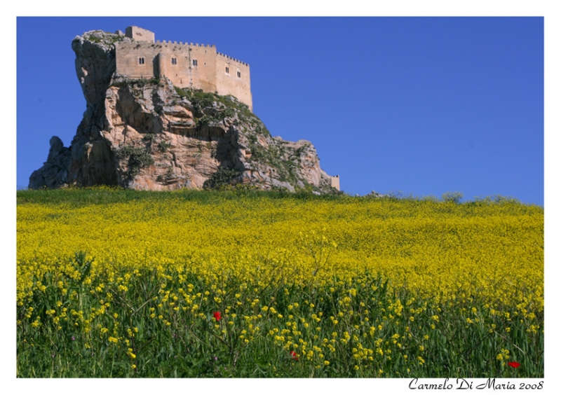 Clicca per l'immagine full size