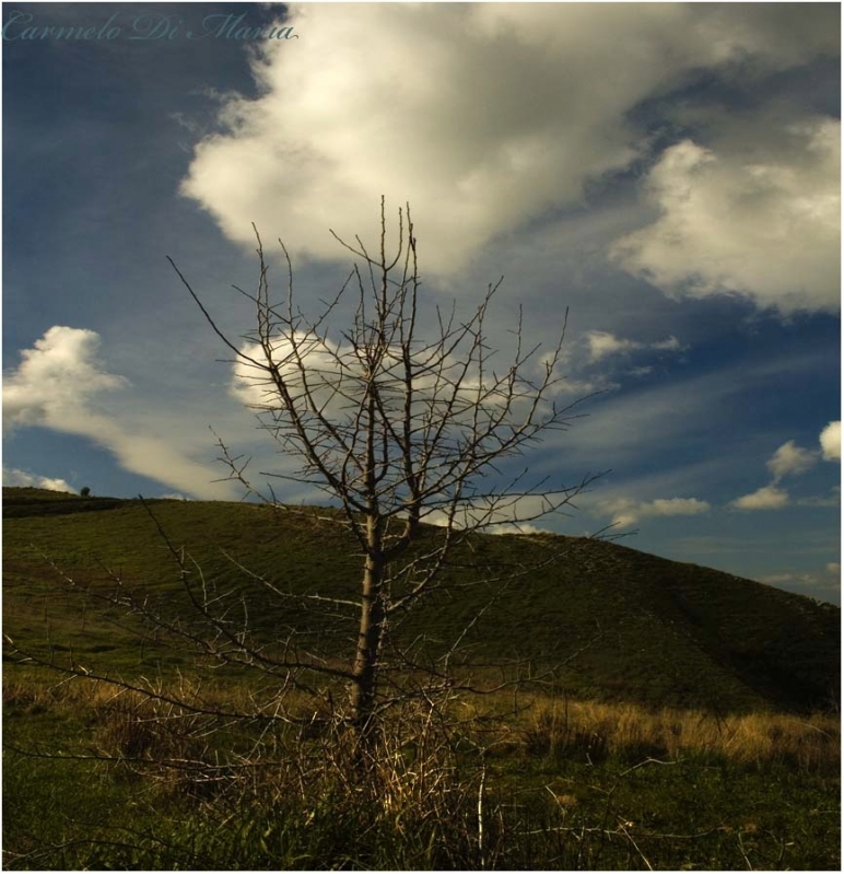 Clicca per l'immagine full size