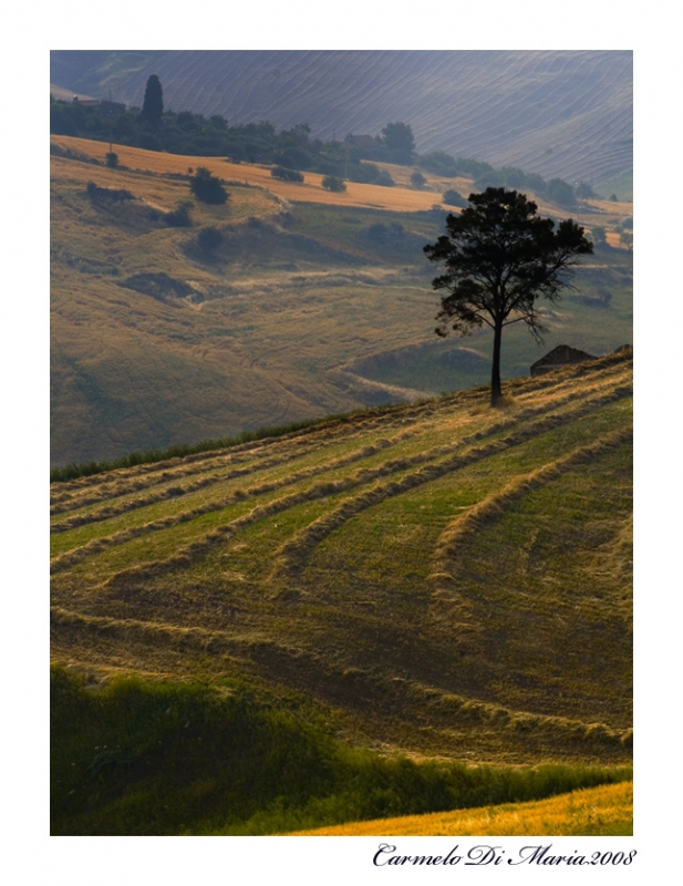 Clicca per l'immagine full size
